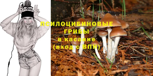 прущая мука Алзамай