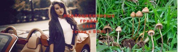 прущие крисы Алексеевка
