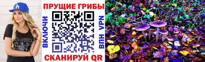 Галлюциногенные грибы ЛСД  Тверь 