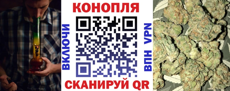 Канабис планчик Тверь